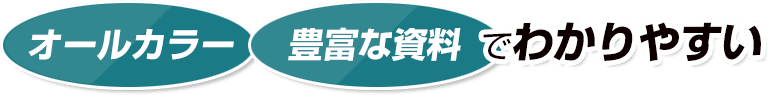 オールカラー豊富な資料でわかりやすい