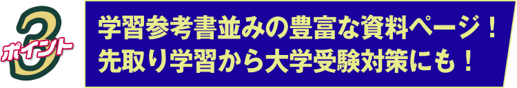 ポイント3 学習参考書並みの豊富な資料ページ！先取り学習から大学受験対策にも
